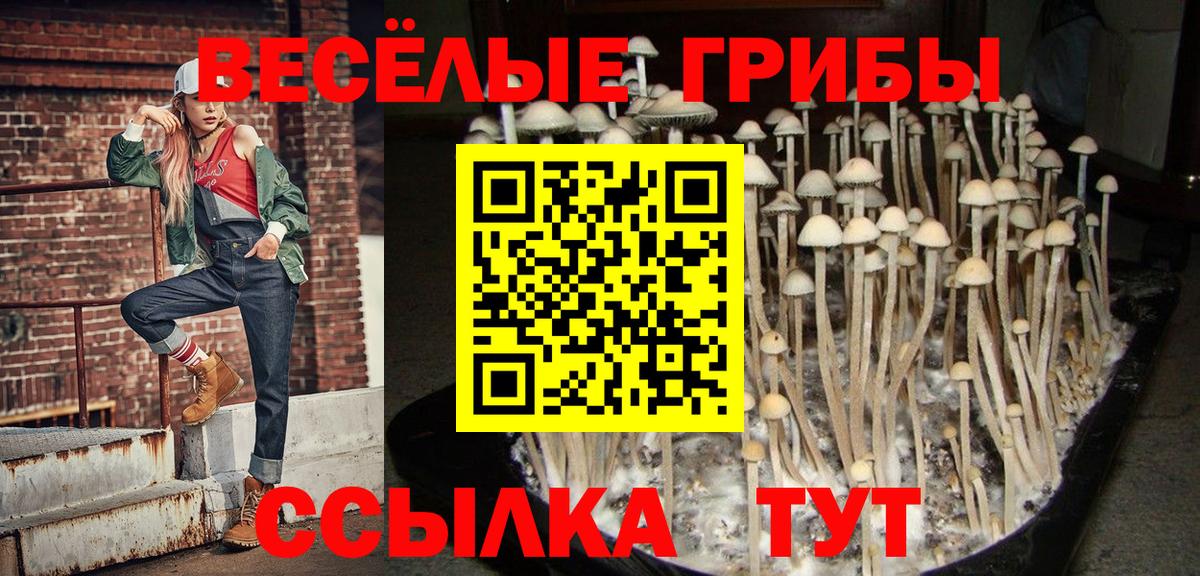 Галлюциногенные грибы Magic Shrooms Альметьевск
